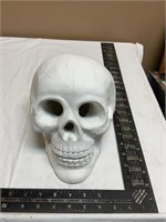 Chalk? skull