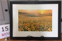 Franklin County Sunflower painting: