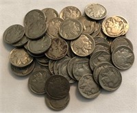 (50) Buffalo Nickels