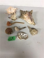 Sea Shells & pipes