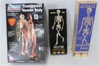 Vintage Anatomical Educational Toys
