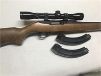 Ruger 10/22 Semi Automatic with Bushnell 4 Power