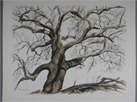 Frederick James Lithograph, " THE WHITE SYCAMORE"