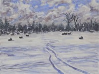 "Winter Field Douro" by Rob Niezen