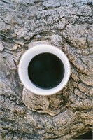 "Coffee Tree" by LA Alfonso