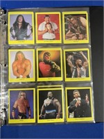 25-1998 CARDINAL WWF WRESTLING CARDS