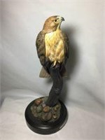 Red Tail Hawk By Phil Galatas Statue