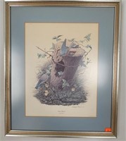 Richard Sloan Eastern Blue Bird  Framed Print