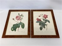 Botanical Art Prints.