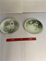 (2) Hand Painted Decorator Plates