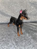 A- glass Doberman