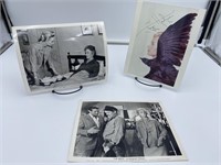 “The Birds” Tippi Hedren Autographed Stills