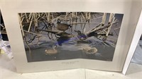 Duck print,  Van Gilder, 670/ 1500
