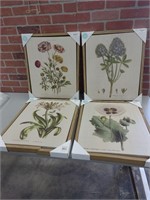 4 BOTANICAL PRINTS