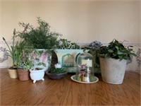 Decorative artificial plants, pots, cloche,