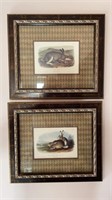 Two rabbits- framed wall art
