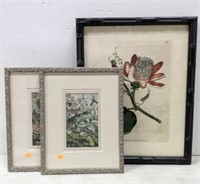 3 Framed Botanical Prints