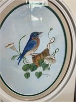 Framed Art - Blue Bird