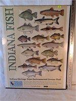 Indiana Fish Poster