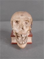 Vintage Bisque Skull Match Safe Nodder