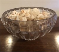 Cut Glass Bowl Full of Mini Conch Shells