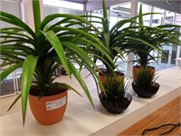 5 Assorted Imitation Plants