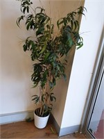 Potted Imitation Indoor Bamboo
