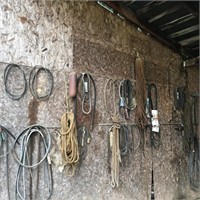 Contents of Wall- Ropes & Belts