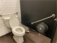 Wall Mount Safety Hand / Grab Bars