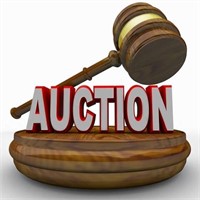AUCTION TIME!!!!