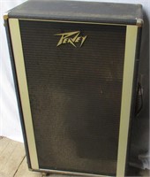 Peavey speaker