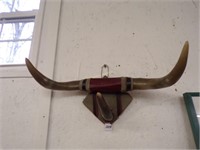 Longhorn wall plaque or coat and hat rack (18")