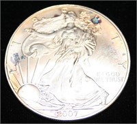 2007 Silver Eagle Dollar Coin