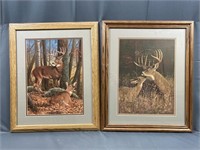 Two Deer Prints