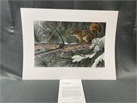 Signed Robert Bateman Print "Red Squirrel "