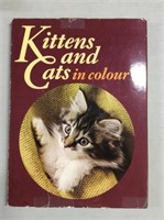 Hardback book kittens and cats