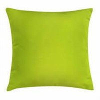 Lime Green Throw Pillow Cushion Cover, Empty Backd