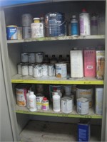 Automotive Paints & Chemicals Contents of Cabinet
