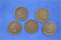 (5) Indian Head Pennies, Various Years