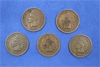 (5)  Indian Head Pennies, 1907-1908