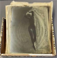 Glass Nude Slides Negatives Photographs