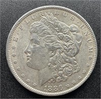1886 Morgan Dollar, Fine Detail