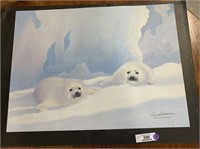 WATER COLOR PIC OF BABY SEALS / 250 OF 395