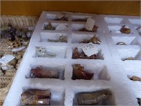 Large group: stones & shells - trinket boxes - fig