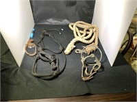 (4 Pcs) Horse Tack - ropes, bit & Dog Collar