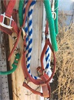 3) Halters w/lead ropes