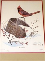 Framed Print by Phillip Stapp - The Cardinal -