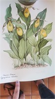 2pc Unframed Wildflower Prints