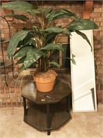 small table, artificial plant, hall mirror
