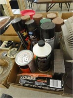 assorted car care items, roach traps, spray paint